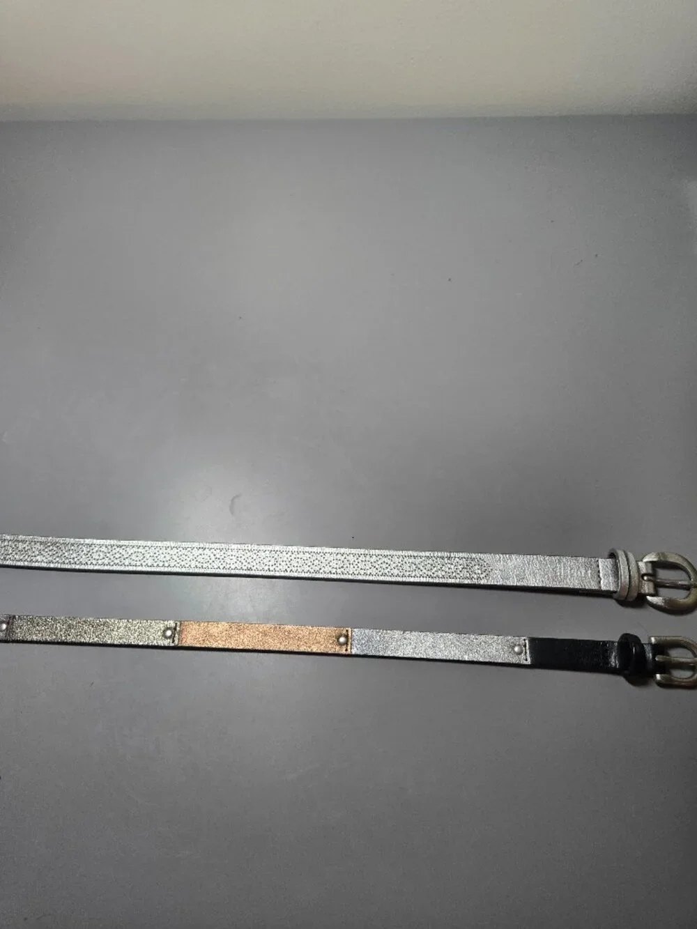 Metallic Fossil Belts, 2 Size Large Y2K, 90's Style Narrow Belts
